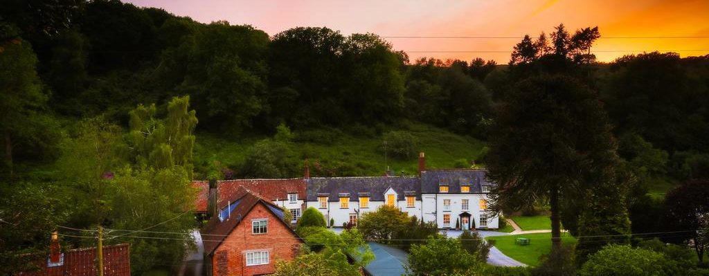 Dog Friendly Hotels in the Quantocks