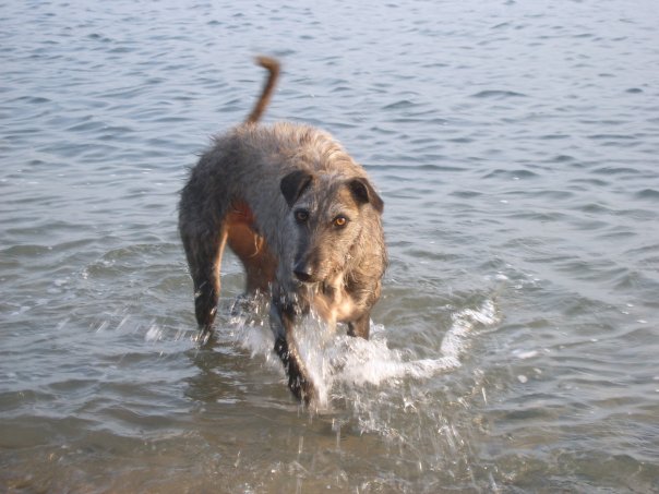 The editor having fun in the sea