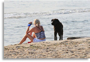 Lady on the beach with her dog