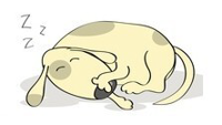 Sleeping dog cartoon