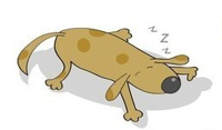 Cartoon snoozing dog